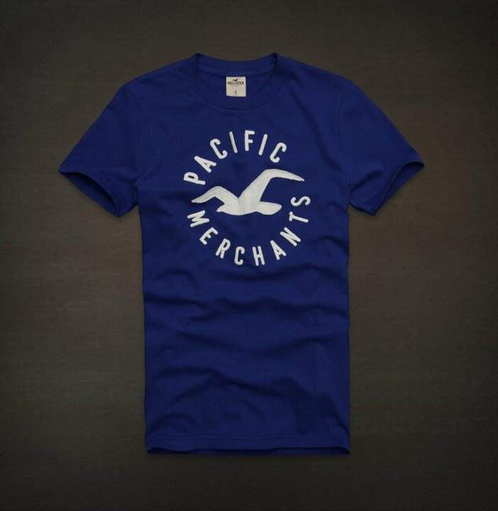 Tee shirt Hollister Bleu Homme